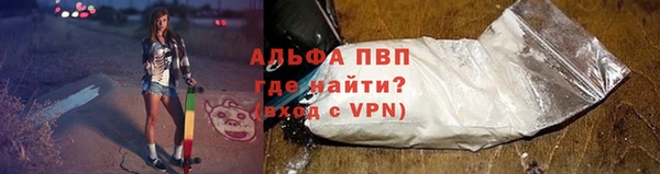 спайс Бородино