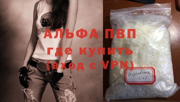 спайс Бородино