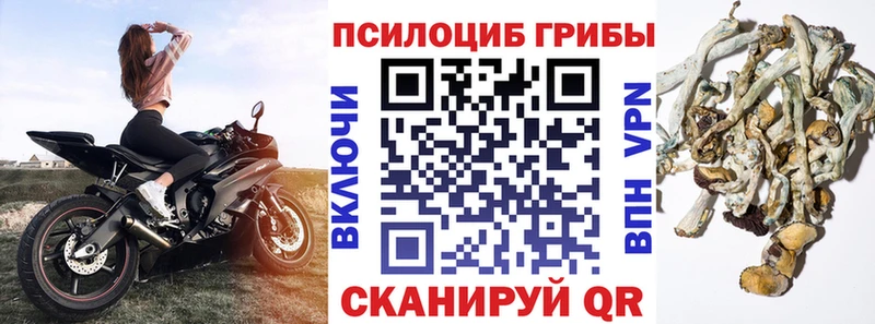 Галлюциногенные грибы MAGIC MUSHROOMS  Купить  Апатиты 